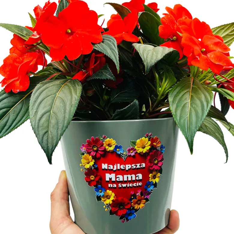 Doniczka Ceramiczna dla Mamy - Prezent na Dzień Mamy Matki Urodziny Święta