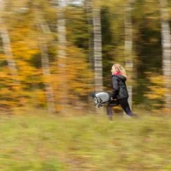 Hobby Horse Skippi - koń na kiju - Kasztanowaty